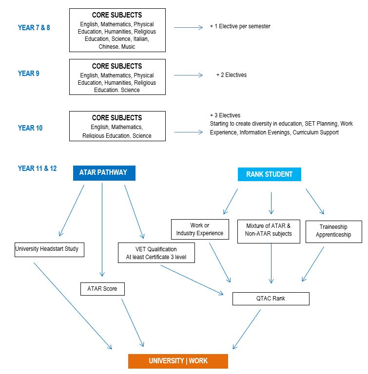 Curriculum Overview Diagram.JPG