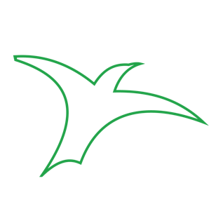 Abstract green outline of a bird in flight.